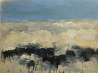 Visions West Gallery :: Bruce :: Lima Angus Dr. #10