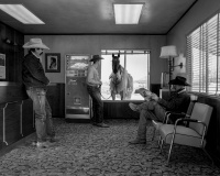 Visions West Gallery :: Bruce :: No Vacancy