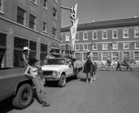 Visions West Gallery :: Bruce :: Take Me To Montana