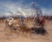 Visions West Gallery :: Bruce :: Keepers Of The Land