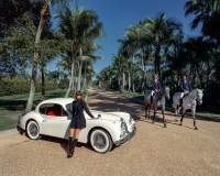 Visions West Gallery :: Bruce :: Life In Wellington