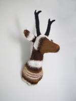 Visions West Gallery :: Bruce :: Sage Goat