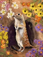 Visions West Gallery :: Bruce :: A Complimentary Pair