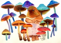 Visions West Gallery :: Bruce :: Umbra! co'smico