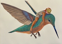 Visions West Gallery :: Bruce :: Badund'ren (Colibrisito)