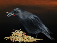 Visions West Gallery :: 1 local-wildlife Robin :: Under the Cover of Darkness