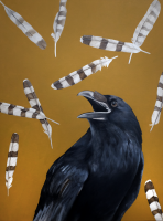 Visions West Gallery :: 1 local-wildlife Robin :: Ghosts