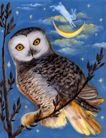 Visions West Gallery :: Bruce :: Evening Owl & Bunny Moon
