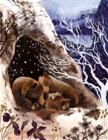 Visions West Gallery :: Bruce :: Hibernating Bears