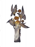 Visions West Gallery :: Bruce :: Aerie lI