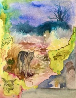 Visions West Gallery :: Bruce :: The Time We Had Goats at The San Miguel Ranch