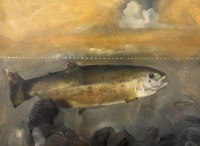 Visions West Gallery :: Bruce :: Trout & Rock