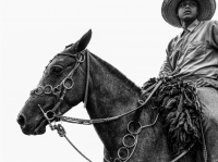 Visions West Gallery :: Bruce :: Irmaos