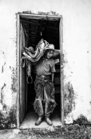 Visions West Gallery :: Bruce :: Pantaneiro