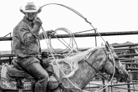 Visions West Gallery :: Bruce :: The Roper