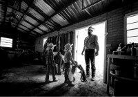 Visions West Gallery :: Bruce :: The Boss