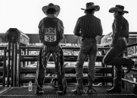 Visions West Gallery :: Bruce :: Major League