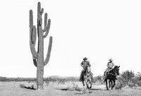 Visions West Gallery :: Bruce :: American West