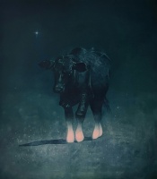 Visions West Gallery :: Bruce :: Something You'll Never Know