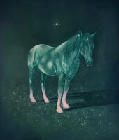 Visions West Gallery :: Bruce :: The Stars Often Fell Asleep on the Floor