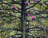 Visions West Gallery :: 1 benevolent-invaders Erika :: Benevolent Invaders