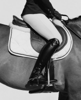 Visions West Gallery :: Bruce :: The English Way