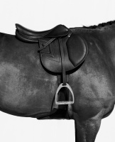 Visions West Gallery :: Bruce :: Di Lusso