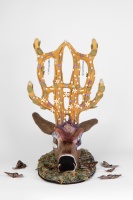 Visions West Gallery :: Bruce :: Árbol De Vida El Monte