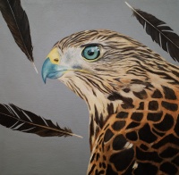 Visions West Gallery :: 1 local-wildlife Robin :: Shadows