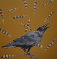 Visions West Gallery :: 1 local-wildlife Robin :: Ghosts II