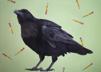 Visions West Gallery :: 1 local-wildlife Robin :: Forest for the Trees