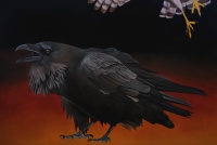 Visions West Gallery :: 1 local-wildlife Robin :: Brave the Storm