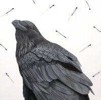 Visions West Gallery :: 1 local-wildlife Robin :: Local Wildlife