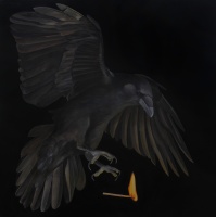 Visions West Gallery :: 1 local-wildlife Robin :: First Light