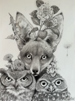 Visions West Gallery :: Bruce :: Fox with Owls