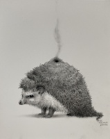 Visions West Gallery :: Bruce :: Hedgehog Volcano