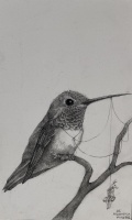 Visions West Gallery :: Bruce :: Hummingbird with Swing