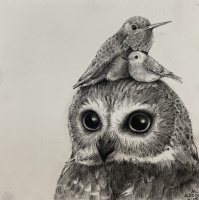 Visions West Gallery :: Bruce :: Owl with Two Birds