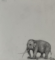Visions West Gallery :: Bruce :: Small Elephant