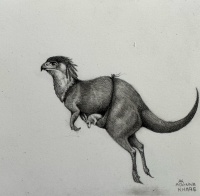 Visions West Gallery :: Bruce :: The Kangaroo