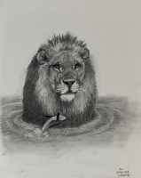 Visions West Gallery :: Bruce :: Lion and Whale