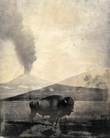 Visions West Gallery :: Bruce :: How the West Was Won 043