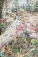 Visions West Gallery :: Bruce :: The place of wonder, fluid flows over my skin, unceasing snowmelt