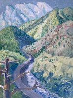 Visions West Gallery :: Bruce :: A very dead tree, overlooking a bunch of, those still living here