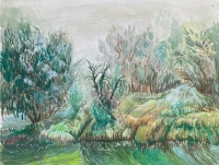 Visions West Gallery :: Bruce :: Slender leaves drooping, sway in misty atmosphere, the Cache La Poudre