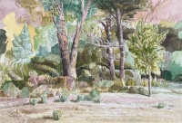 Visions West Gallery :: Bruce :: The perfect neighbors, they never make a ruckus, until the wind blows