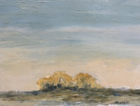 Visions West Gallery :: Bruce :: Schneiter's Willows #3