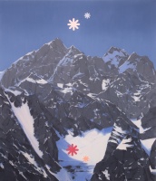 Visions West Gallery :: Bruce :: Stars and Flowers