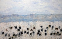 Visions West Gallery :: Bruce :: Winter Angus # 20