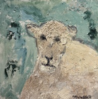 Visions West Gallery :: Bruce :: Serengeti Lioness